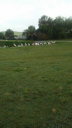 Golf Club «Manatee County Golf Course», reviews and photos, 6415 53rd Ave W, Bradenton, FL 34210, USA