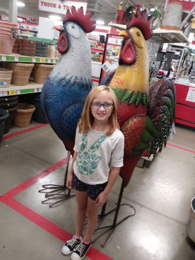 Home Improvement Store «Tractor Supply Co.», reviews and photos, 176 Finley Rd, Belle Vernon, PA 15012, USA