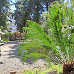 Photo n°4 de l'avis de Markus.t fait le 25/03/2024 à 14:35 sur le  Hotel Parco Delle Fontane à Syracuse