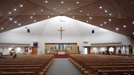 Saint Thomas More Parish