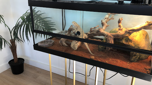 Reptile Store «Reptile Pets Direct», reviews and photos, 8088 Pat Booker Rd, Live Oak, TX 78233, USA