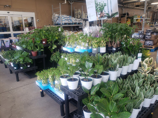 Department Store «Walmart Supercenter», reviews and photos, 3002 Stacy Allison Way, Woodburn, OR 97071, USA