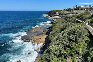 Bondi to Coogee Walk image