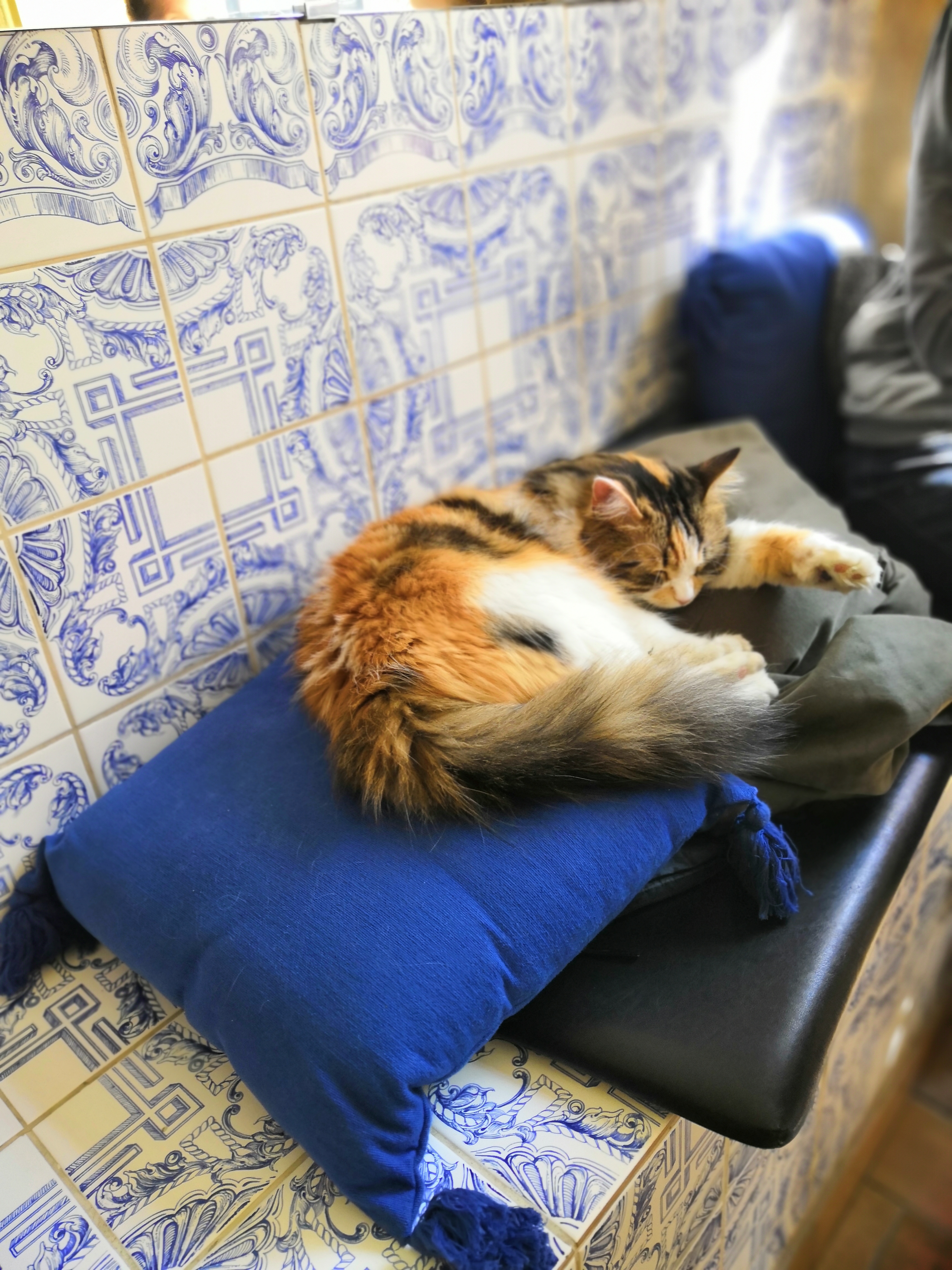 Photo n° 3 de l'avis de sara.a fait le 13/04/2019 à 09:22