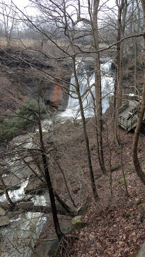 Tourist Attraction «Brandywine Gorge Trail», reviews and photos, 8176 Brandywine Rd, Sagamore Hills, OH 44067, USA
