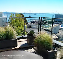 Spade Gardens & Landscaping - Photo 2 - Car repair in San Francisco, CA, San Francisco