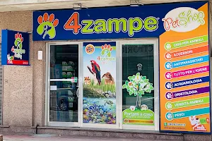 4Zampe PetShop - Siderno image