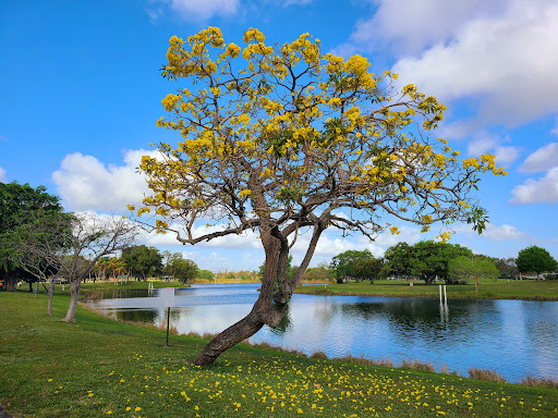 Park «Plantation Heritage Park», reviews and photos, 1100 S Fig Tree Ln, Plantation, FL 33317, USA