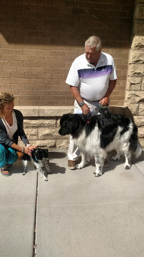 Pet Supply Store «Petco Animal Supplies», reviews and photos, 6720 Fox Centre Pkwy, Gloucester Courthouse, VA 23061, USA