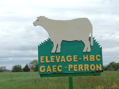 Élevage HBC-GAEC-PERRON à Martigny-le-Comte