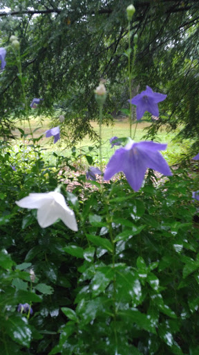 Gift Shop «Stonehedge Gardens», reviews and photos, 51 Dairy Rd, Tamaqua, PA 18252, USA