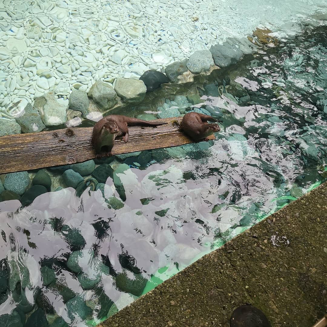 Photo n° 6 de l'avis de Xxx.x fait le 14/08/2020 à 21:01