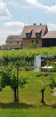 Le Katzengarten à Gueberschwihr