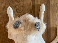 PetSmart - Photo 4 - Car repair in Highlands Ranch, CO, Highlands Ranch