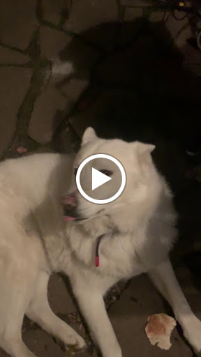 Car Alarm Supplier «The Beat Mobile Electronics», reviews and photos, 800 Sonoma Blvd, Vallejo, CA 94590, USA