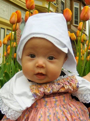 Toy Store «Tip Toes», reviews and photos, 60 E 8th St, Holland, MI 49423, USA