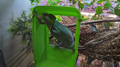 Pet Store «Zoo Creatures Pet Store», reviews and photos, 149 Plaistow Rd, Plaistow, NH 03865, USA