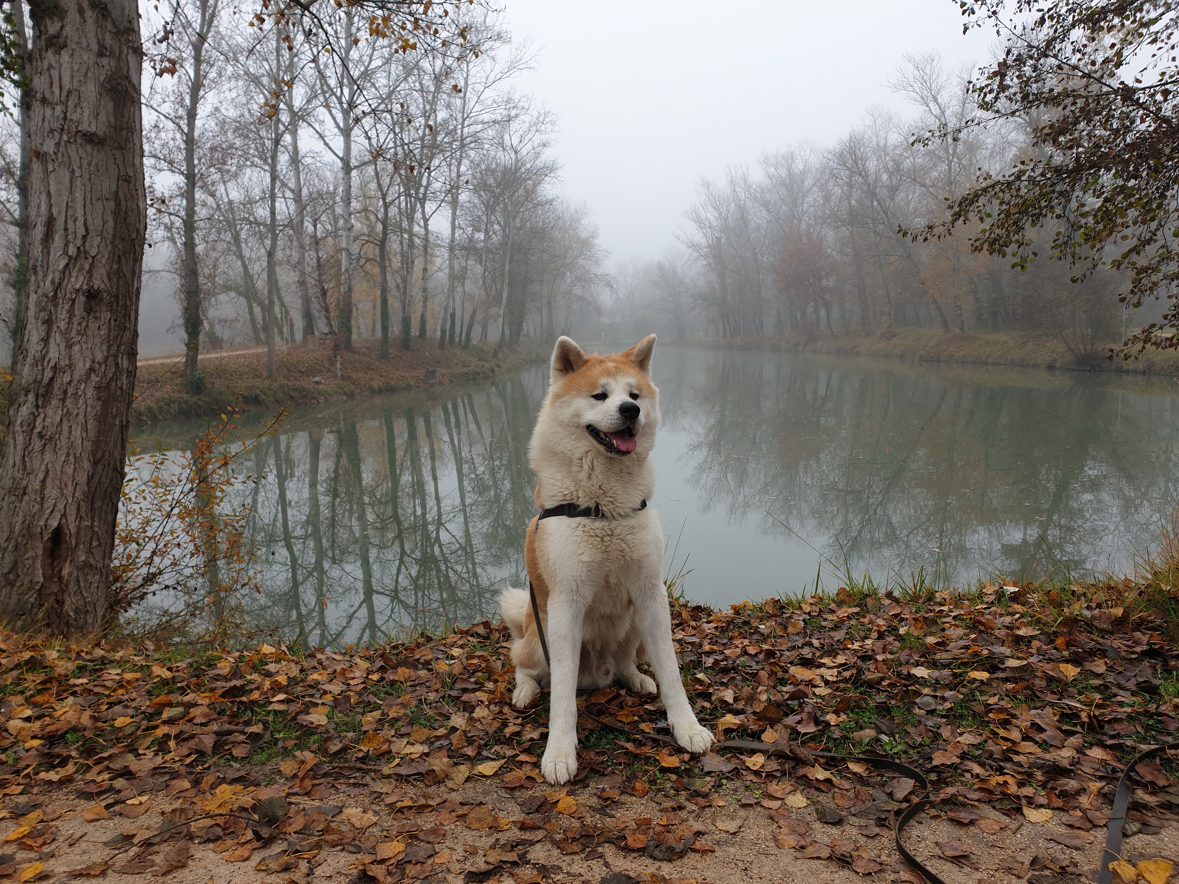 Photo n° 1 de l'avis de jean.u fait le 07/12/2019 à 17:13