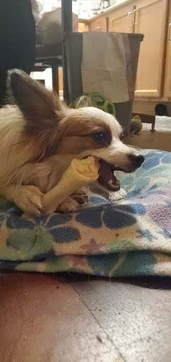 Pet Supply Store «Pet Pros», reviews and photos, 10304 Lake City Way NE, Seattle, WA 98125, USA