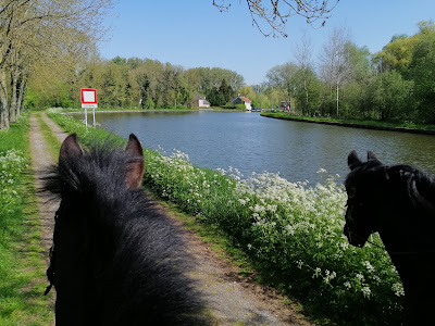 EquiO' à Honnecourt-sur-Escaut