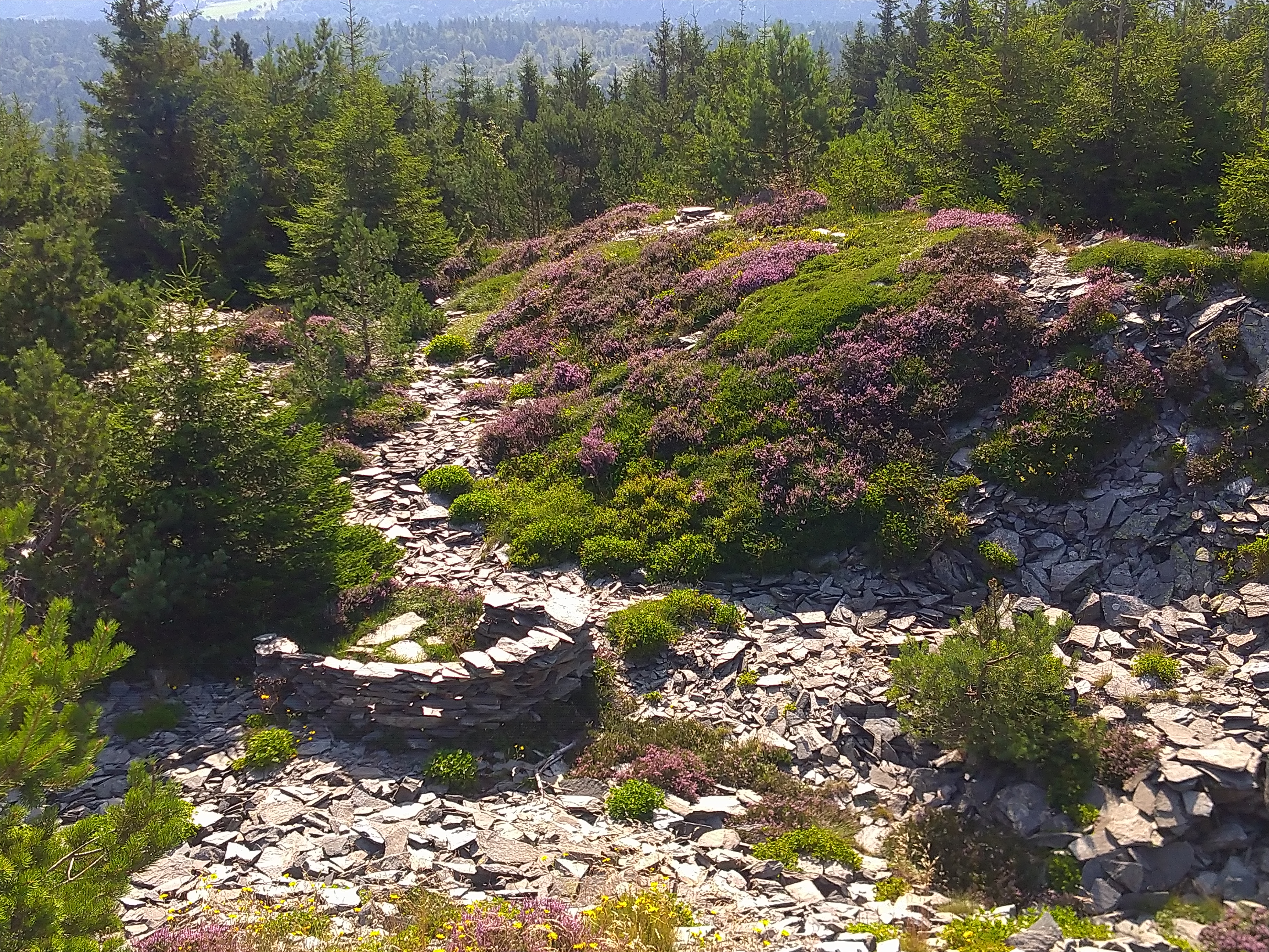 Photo n° 7 de l'avis de Ju.a fait le 14/08/2021 à 15:08