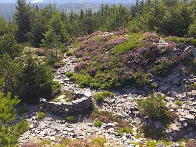 Mont signon à Chaudeyrolles