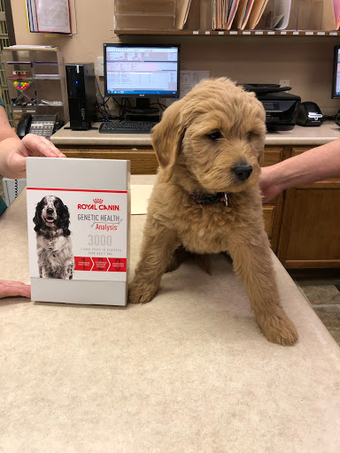 Putnam North Animal Hospital image