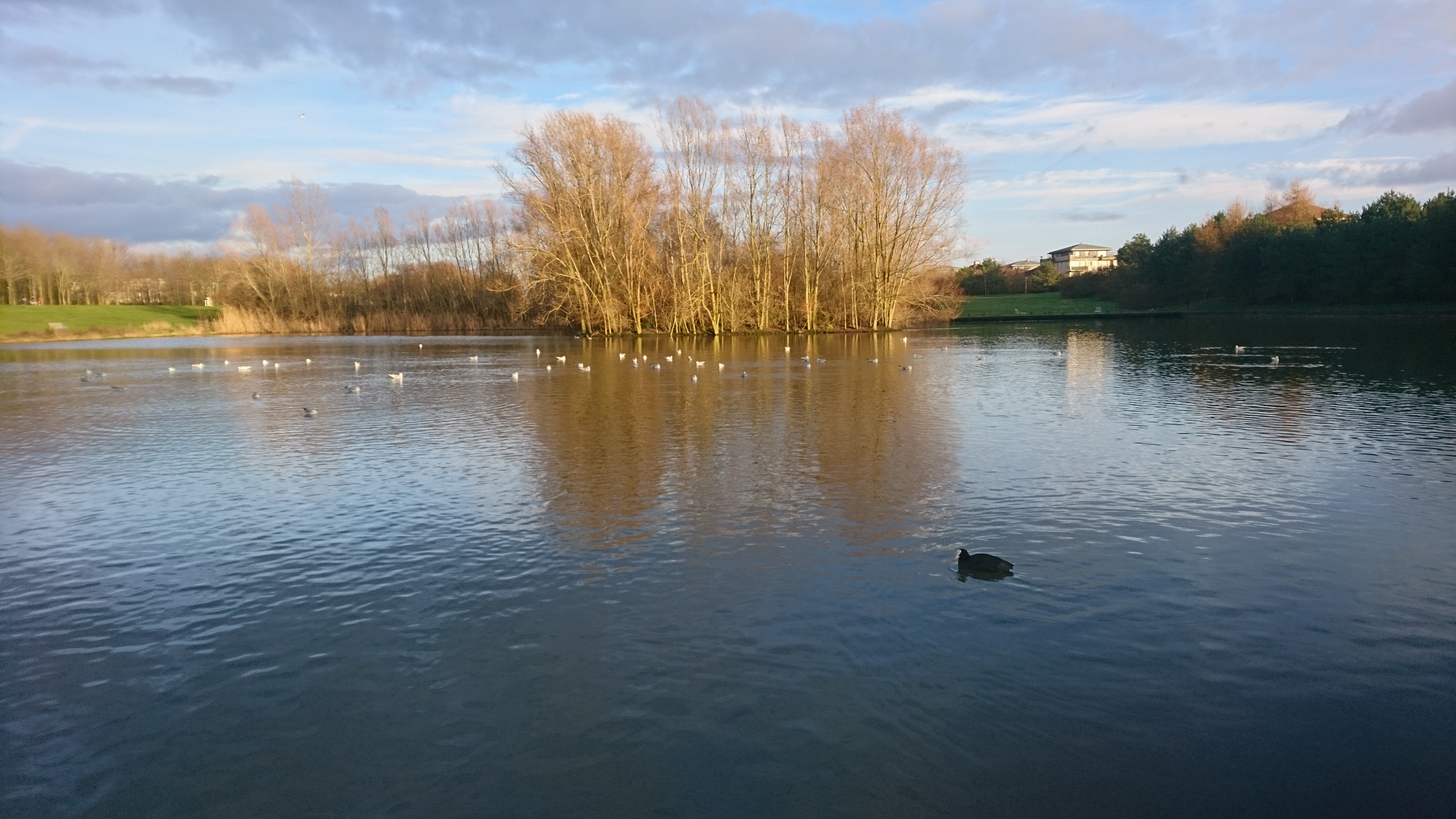 Photo n° 1 de l'avis de Dylou.� fait le 30/12/2020 à 15:11