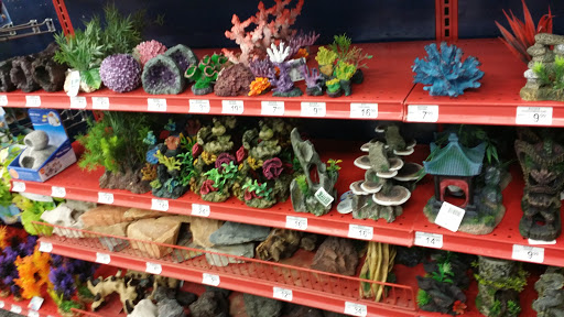 Pet Supply Store «Petco Animal Supplies», reviews and photos, 18200 NW Evergreen Pkwy, Beaverton, OR 97006, USA