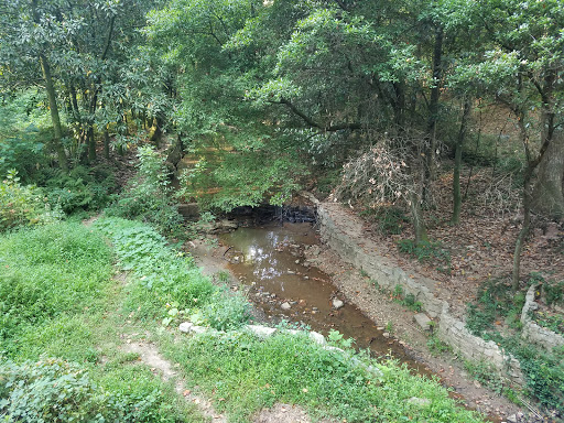 Nature Preserve «Fernbank Forest», reviews and photos, 767 Clifton Rd, Atlanta, GA 30307, USA