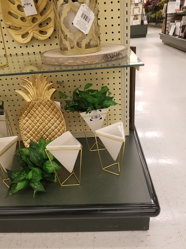 Craft Store «Hobby Lobby», reviews and photos, 2722 N Salisbury Blvd #1, Salisbury, MD 21801, USA