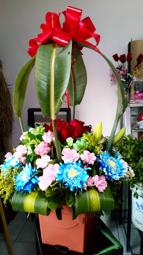 Florería – Ahualulco de Mercado