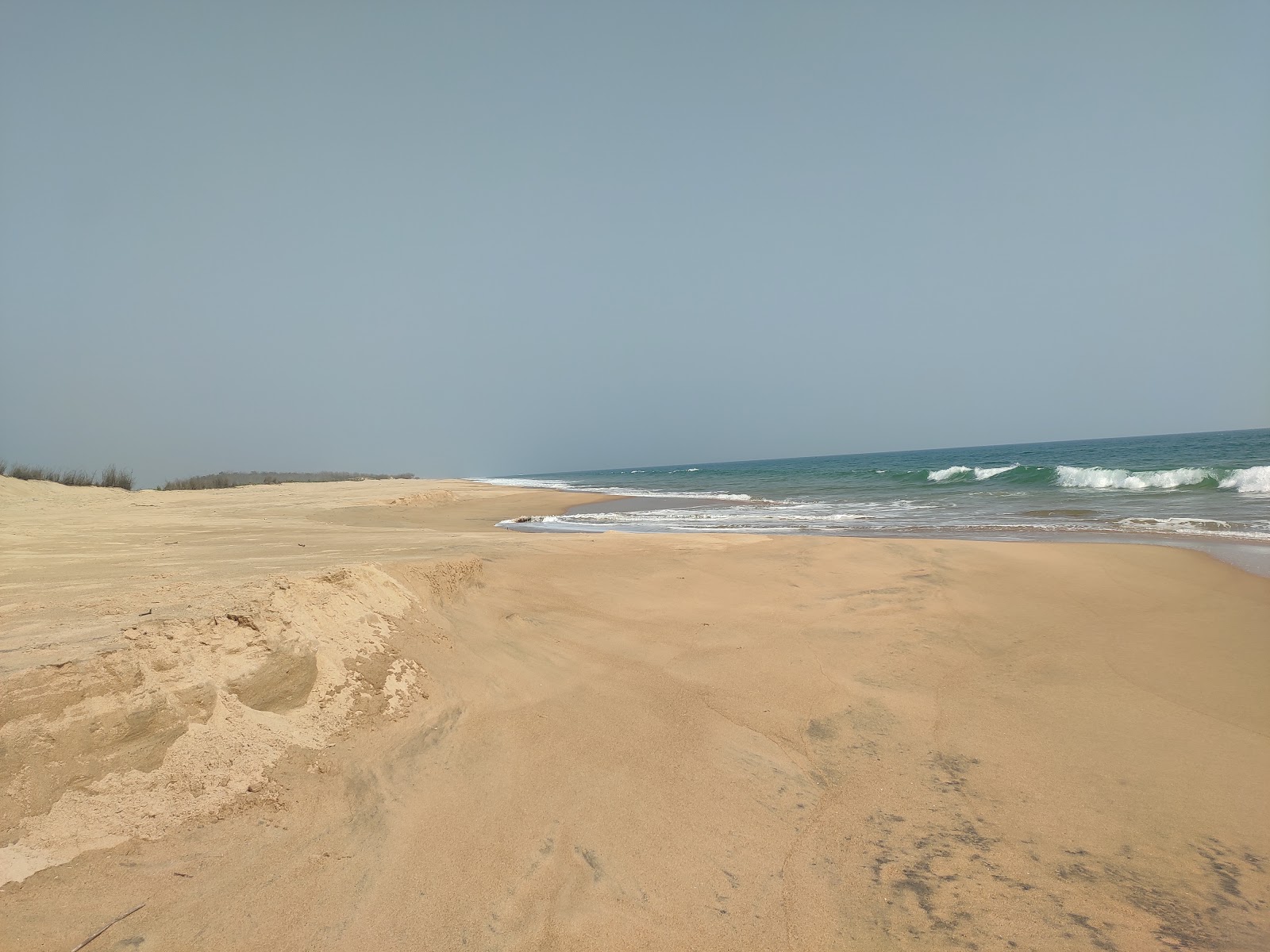 Fotografija Singharapal Beach divje območje
