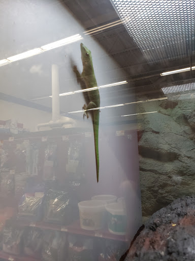 Pet Supply Store «Petco Animal Supplies», reviews and photos, 65 Taunton Depot Dr A, Taunton, MA 02780, USA