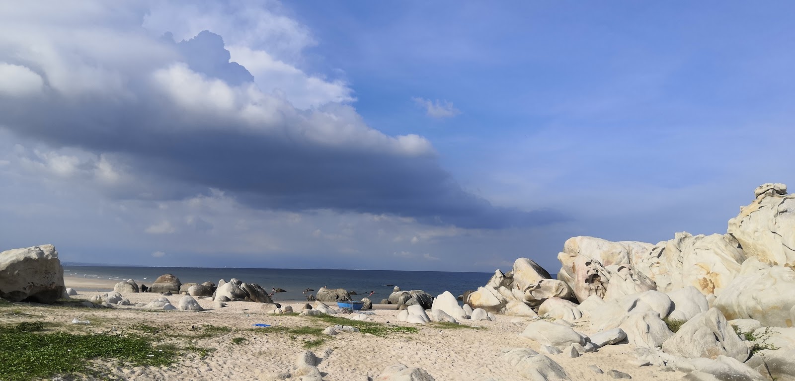 Beach Rocks'in fotoğrafı vahşi alan