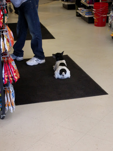 Auto Parts Store «Advance Auto Parts», reviews and photos, 671 Southern Artery, Quincy, MA 02169, USA