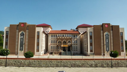 Araklı Anadolu Lisesi