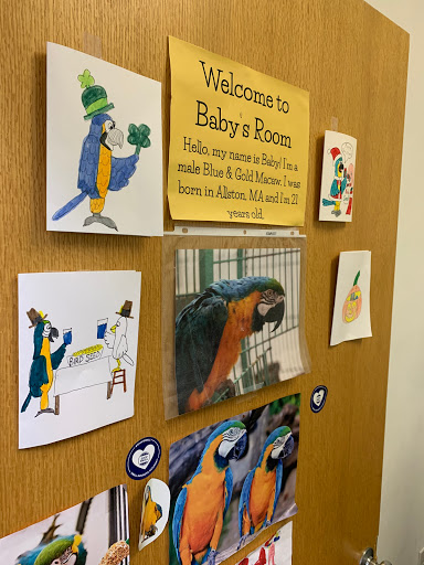 Pet Supply Store «Pet Supply Outlet», reviews and photos, 258 Blanchard Rd, Belmont, MA 02478, USA