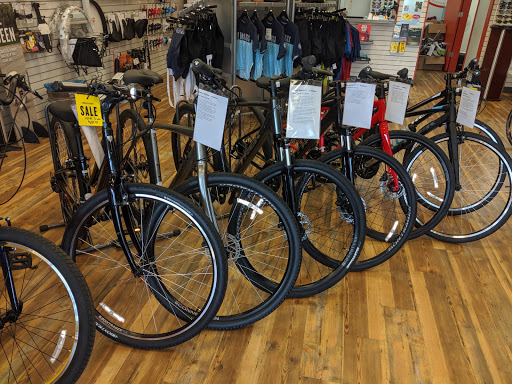 Bicycle Store «Bird Legs Bicycles», reviews and photos, 2784 Capital Cir NE, Tallahassee, FL 32308, USA