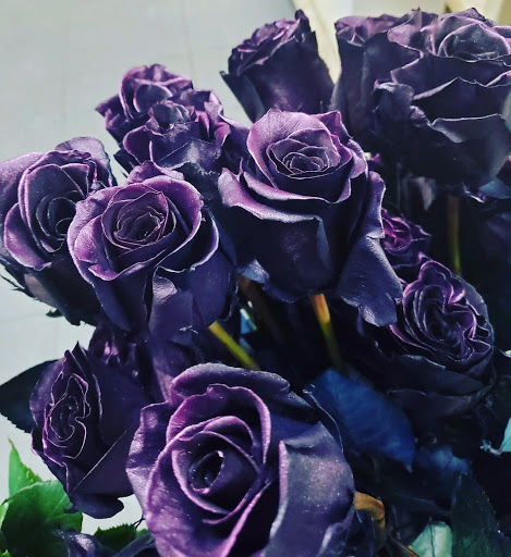 Pet Supply Store «Petco Animal Supplies», reviews and photos, 473 State Rd, North Dartmouth, MA 02747, USA