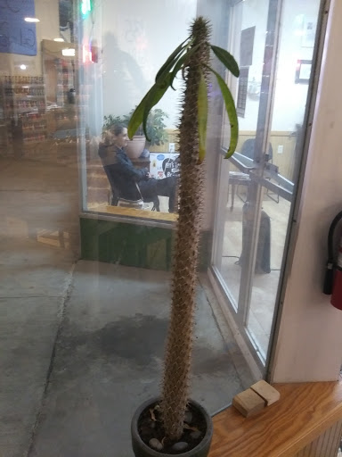 Supermarket «Price Chopper», reviews and photos, 152 Harte Haven Plaza, Massena, NY 13662, USA