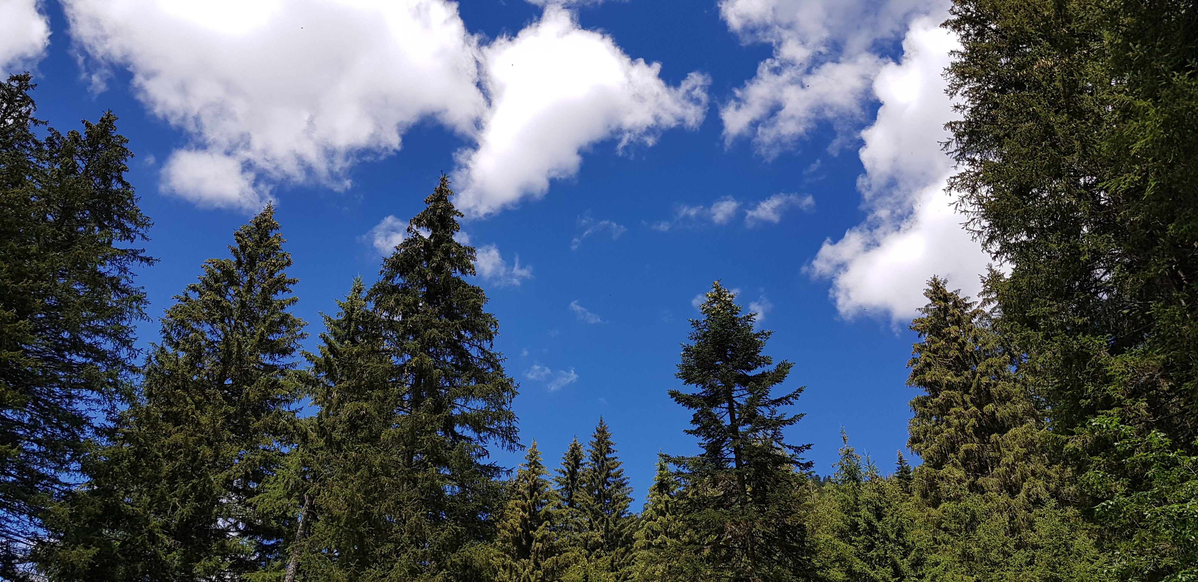 Photo n° 2 de l'avis de Valérie.n fait le 10/08/2020 à 17:42