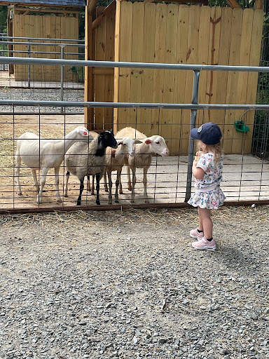 Zoo «The Petting Zoo at Breezeway Farm», reviews and photos, 161 Anawana Lake Road, Monticello, NY 12701, USA