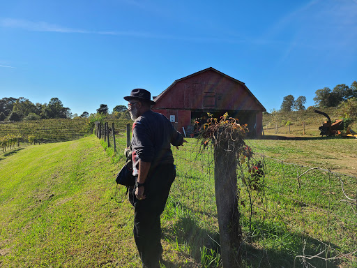 Vineyard «Three Sisters Vineyards & Winery», reviews and photos, 439 Vineyard Way, Dahlonega, GA 30533, USA