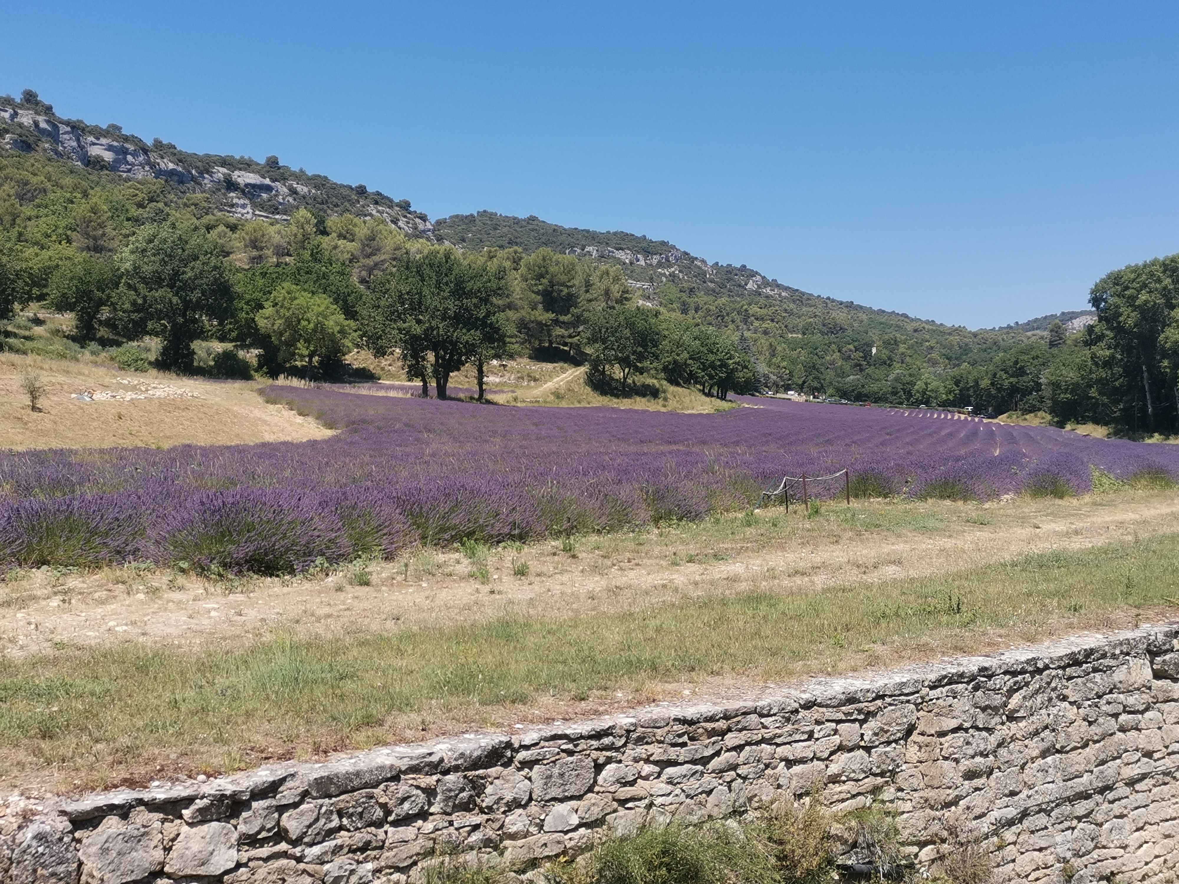 Photo n° 2 de l'avis de Pierre.a fait le 01/09/2021 à 10:40