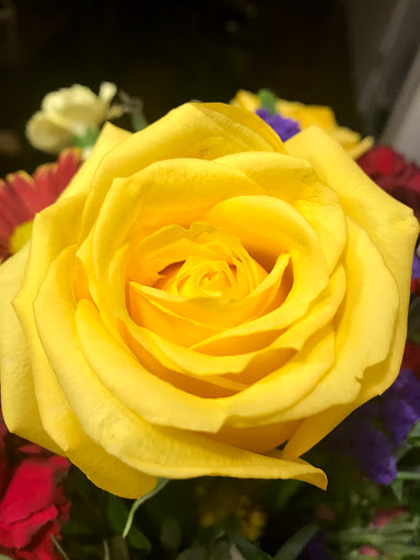 Florist «Shamrock Florist», reviews and photos, 8460 Senoia Rd, Fairburn, GA 30213, USA