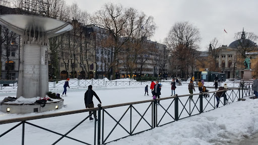 Ice skating classes in Oslo