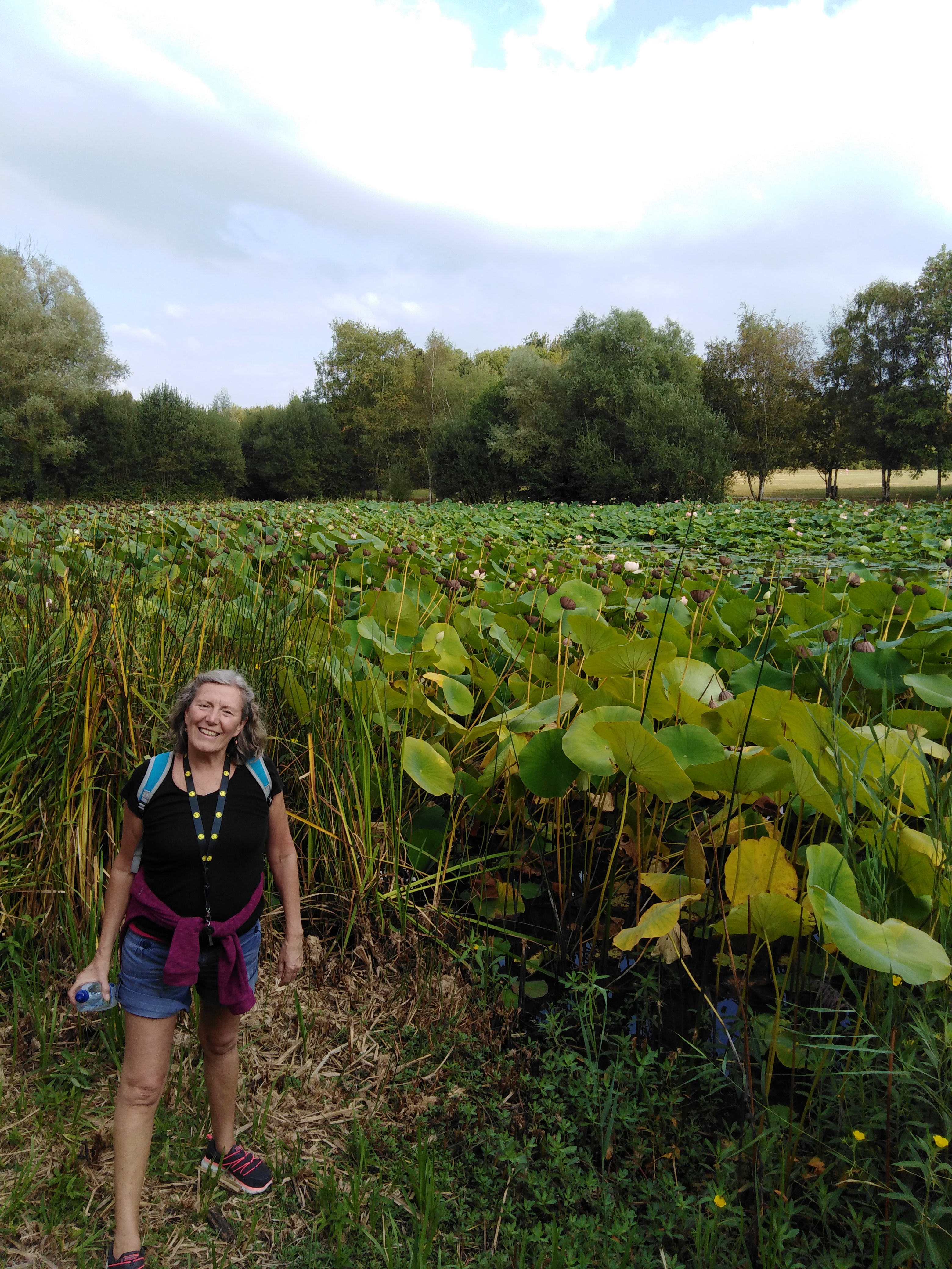 Photo n° 2 de l'avis de Steve.u fait le 04/09/2018 à 16:32