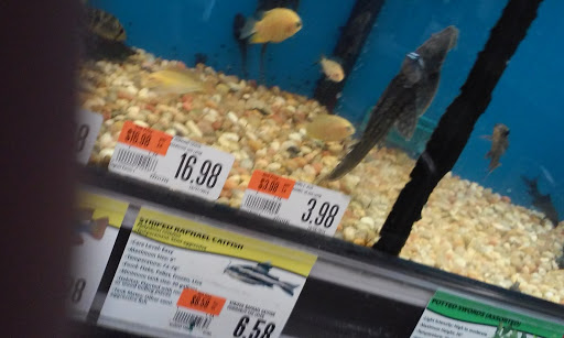 Pet Supply Store «Pet Supplies Plus», reviews and photos, 2155 Delaware Ave, Buffalo, NY 14216, USA