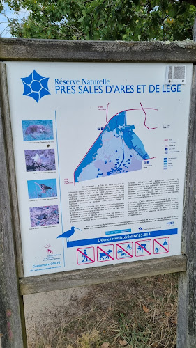 attractions Les prés salés d'Arès Arès